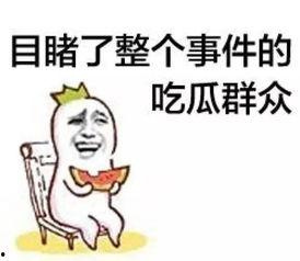结婚吃瓜群众说实话视频,吃瓜群众的真实评价大公开