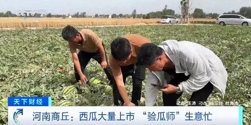 奉节教师吃瓜事件视频,一场网络舆论的风波与反思