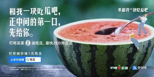 关于台湾吃瓜的新闻视频,揭秘岛内热点事件背后的八卦风云
