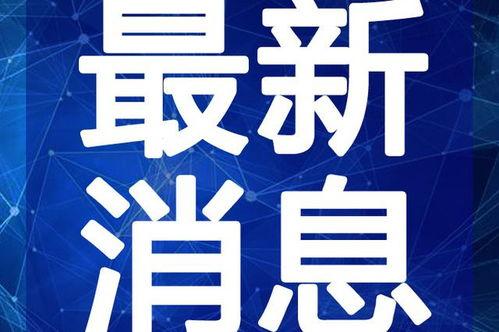 日照吃瓜新闻视频最新消息,最新视频揭秘瓜田盛况