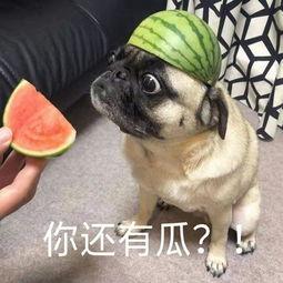 yp吃瓜视频,娱乐圈幕后真相大曝光