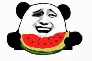 吃瓜群众高档喊法视频,跟随视频潮流，领略新型社交风尚