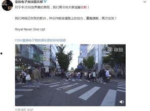 置顶视频吃瓜,带你一探究竟