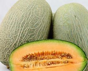 蝴蝶吃哈密瓜视频大全集,自然界的甜蜜互动