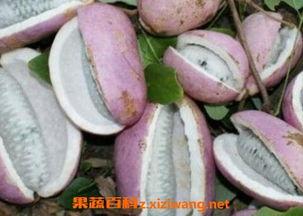 湖北恩施吃瓜视频,一场别开生面的湖北乡村美食盛宴