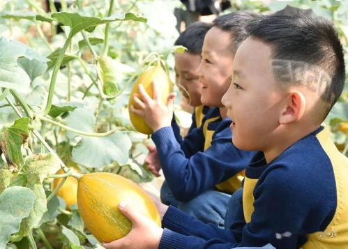 黄尧尧吃瓜视频