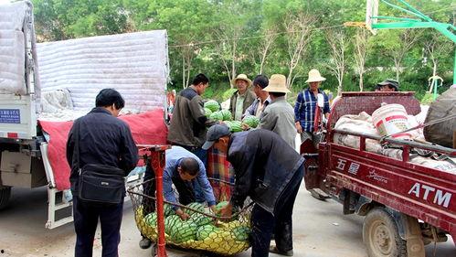 洛宁县城吃瓜群众事件视频,一场网络舆论的风暴与反思