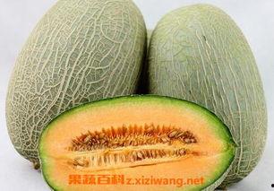 女子含泪吃哈密瓜视频大全