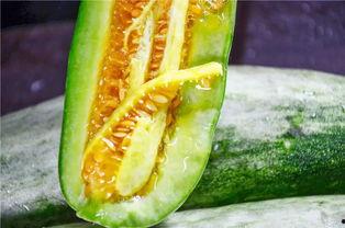 网红吃瓜视频的特点有哪些,趣味与争议并存的现象解析