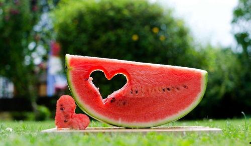 吃瓜相关视频,短视频中的娱乐现象解析  第3张