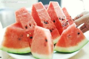 专业的吃瓜视频,揭秘网红吃瓜视频背后的专业解析与趣味解读