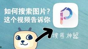 吃瓜神器强迫症视频下载,强迫症视频下载背后的秘密与技巧