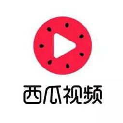 吃瓜神器强迫症视频下载,强迫症视频下载背后的秘密与技巧  第3张