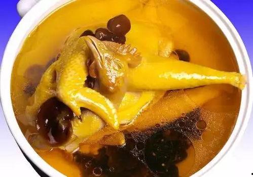 娱乐吃瓜酱鸡汤视频播放