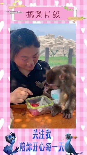 美美吃瓜视频全集,揭秘娱乐圈幕后真相，全集大揭秘  第3张