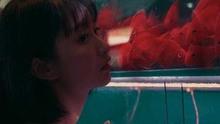 视频吃瓜女孩