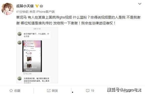 沙河视频事件吃瓜群微博,吃瓜群微博热议，真相究竟如何？