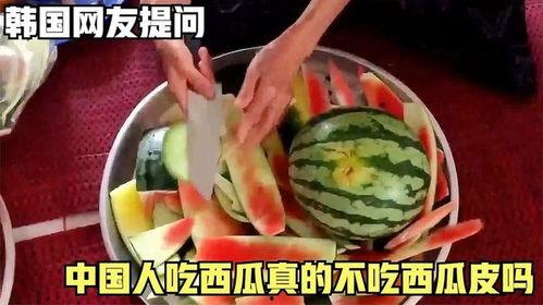 韩国人吃新疆瓜的视频,新疆瓜的美味之旅，跨越国界的味蕾交流