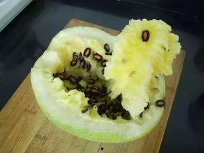 籽瓜可以熬熬热吃吗视频,热食体验，解锁美味新境界