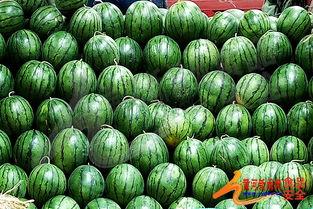 太原孔哥吃瓜的视频,揭秘幕后真相，带你领略网络红人的魅力
