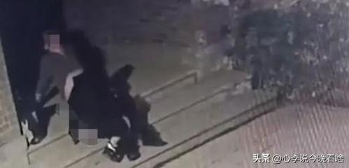 越南吃瓜视频完整版,揭秘越南街头美食与生活百态