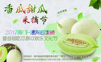 网红吃瓜大集合集视频,一场视觉与味蕾的双重盛宴