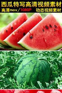 吃瓜动图视频素材下载免费,动图素材免费下载，轻松get吃瓜乐趣