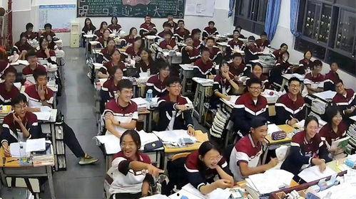 学员吃瓜视频大全,趣味横生的校园生活瞬间