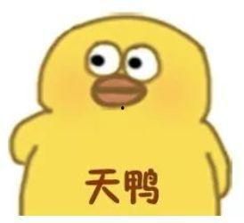 吃瓜无语视频素材大全高清,高清素材大全解析