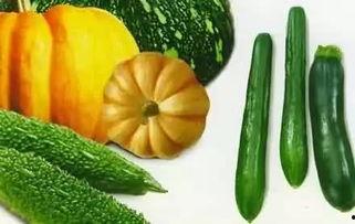 老光瓜怎么吃才好吃呢视频,解锁传统瓜果的新吃法