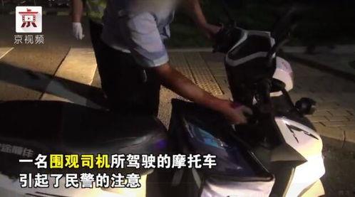 乐家军吃瓜群众视频