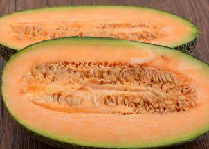 燕子吃哈密瓜视频播放在线观看,一场别开生面的空中美食盛宴  第2张