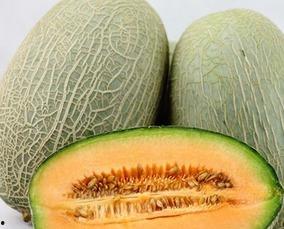 吃甜甜的哈密瓜视频,揭秘哈密瓜视频中的美味诱惑