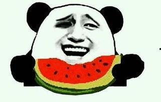 文明吃瓜视频,品味生活百态——揭秘吃瓜视频背后的文化现象  第2张