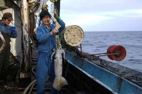 舟山渔民吃瓜事件视频播放,一场引发网友热议的乡村美食盛宴  第3张